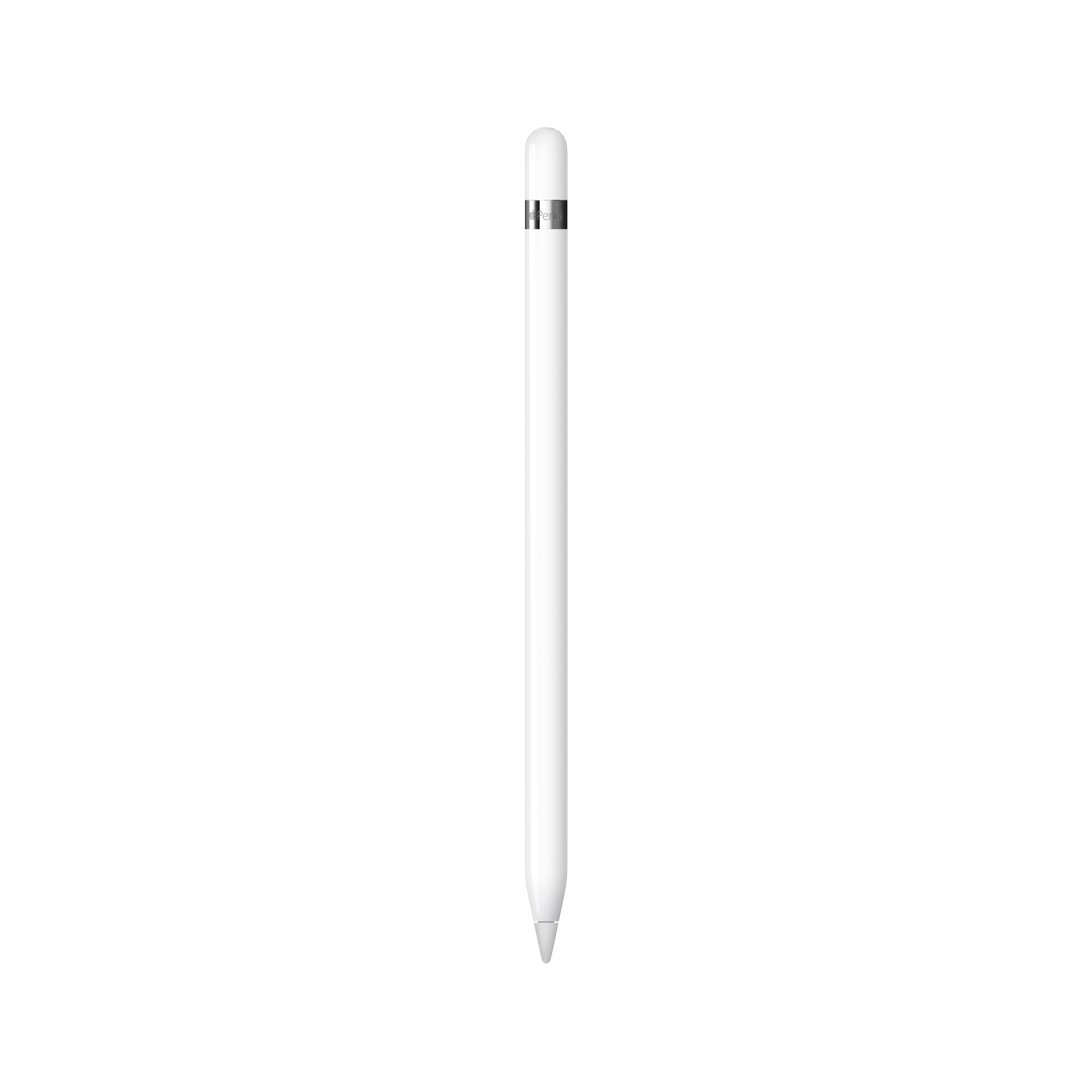 Apple Pencil (1st Generation) with USB-C to Apple Pencil Adapter