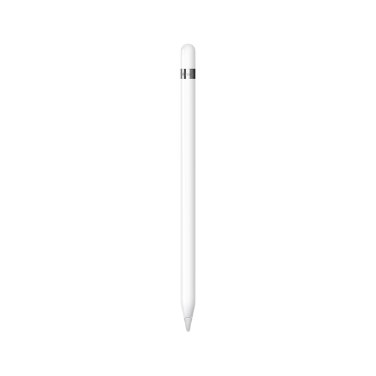 Apple Pencil (1st Generation) with USB-C to Apple Pencil Adapter