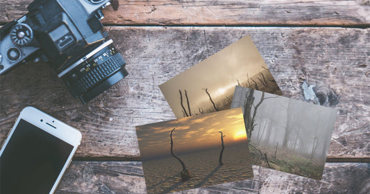 Photography with sample pictures