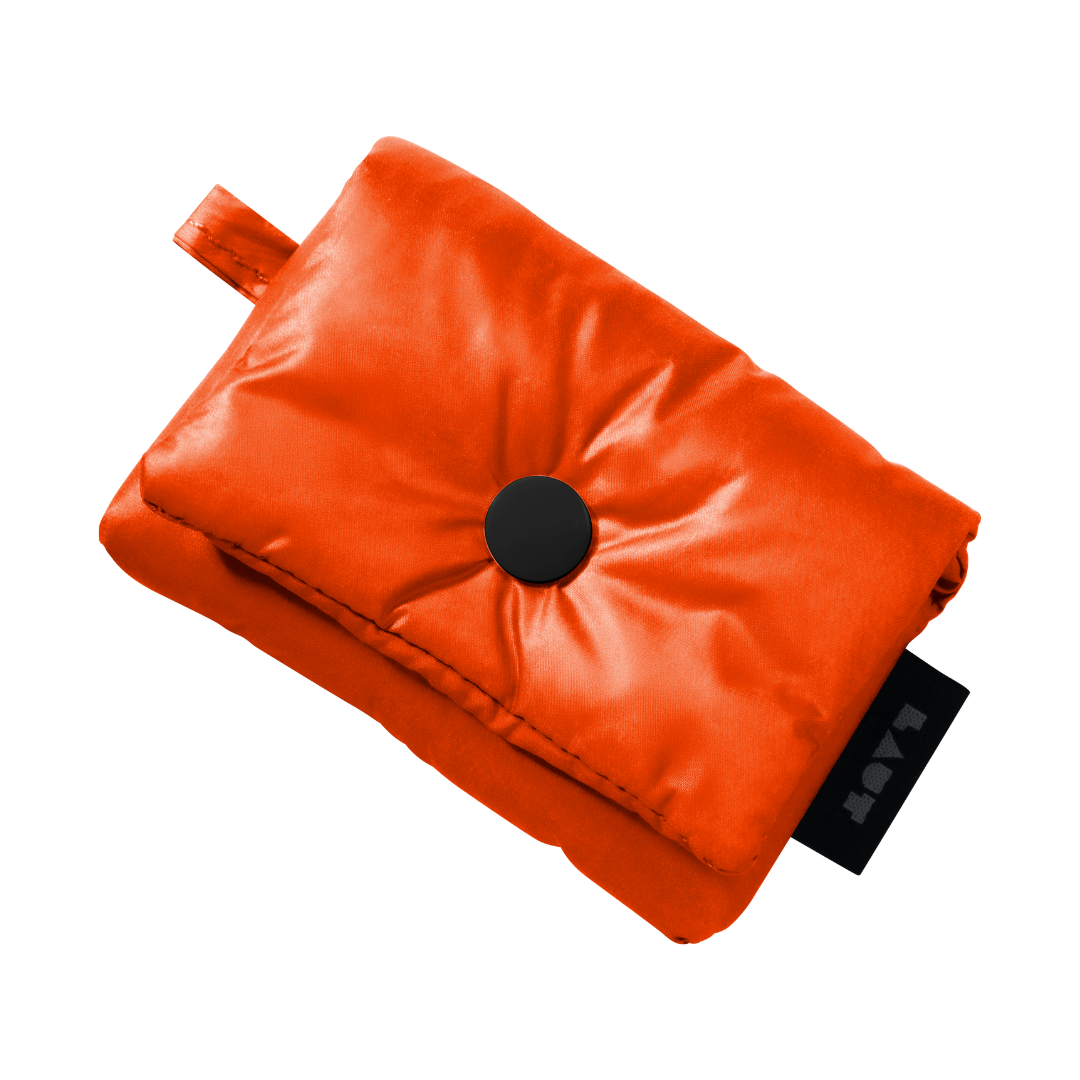 LAUT Keyko Pop MagSafe Case for iPhone 17 Pro - Autumn Bloom