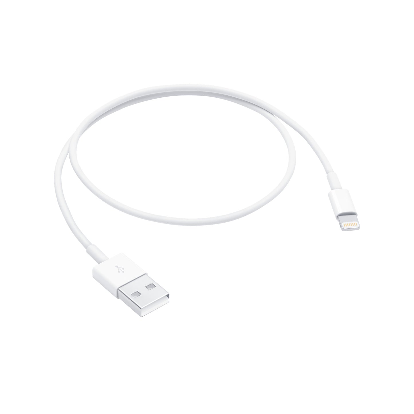 Lightning to USB Cable (0.5 m)