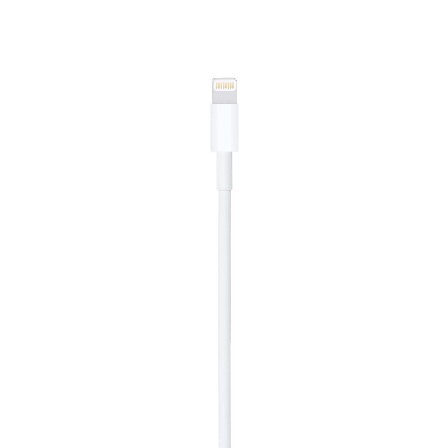 Lightning to USB Cable (2m)