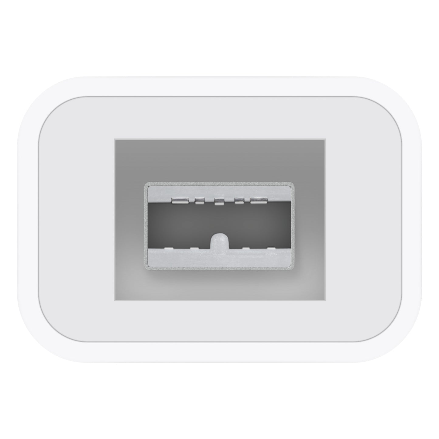 Apple Thunderbolt to Firewire Adapter