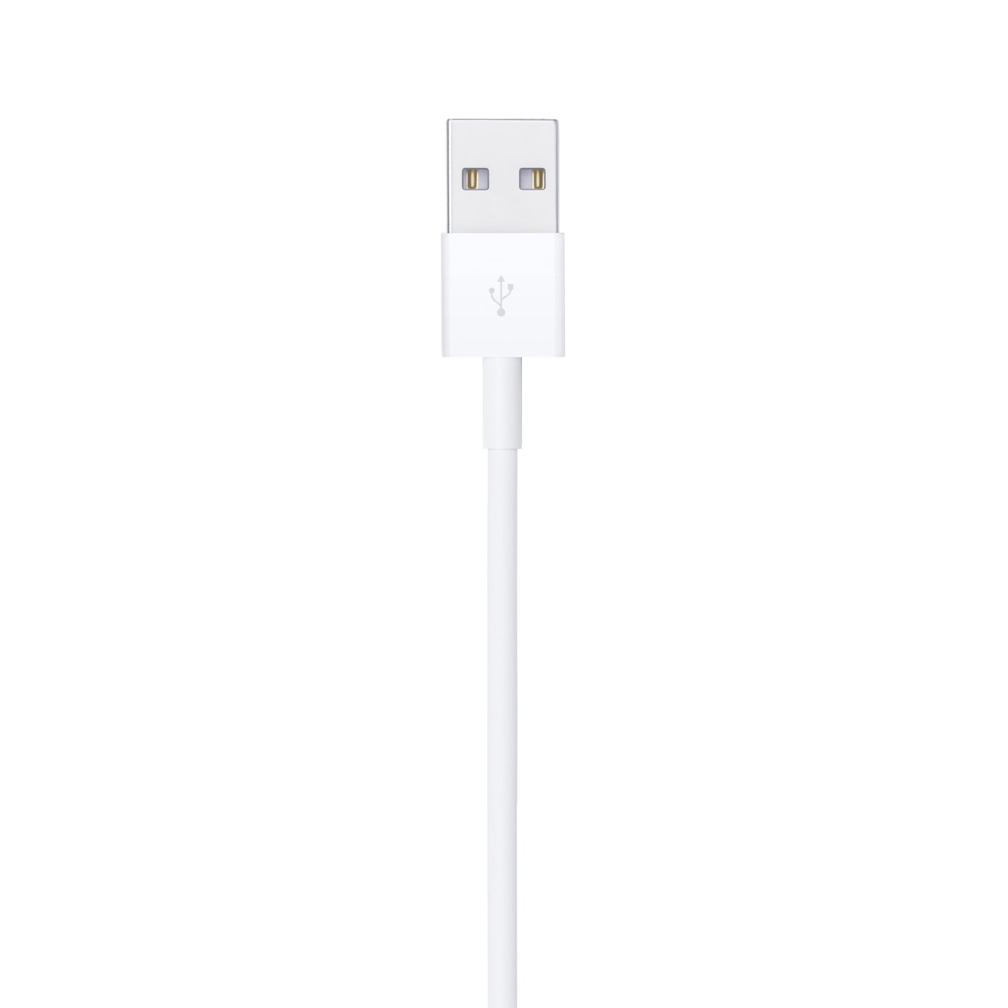 Lightning to USB Cable (2m)