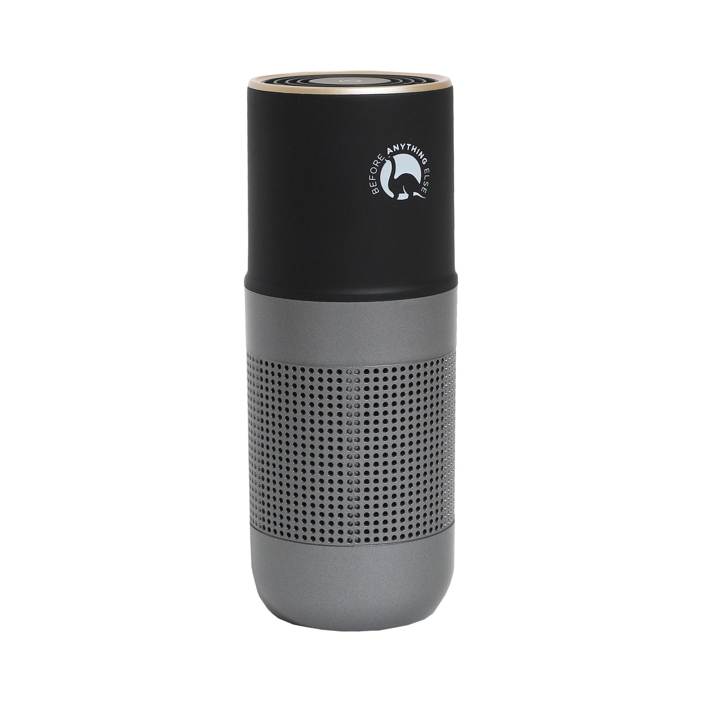 BEFORE ANYTHING ELSE OVI Personal Air Purifier - Gray