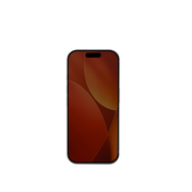 BEFORE ANYTHING ELSE Privex Screen Protector for iPhone 17 Pro Max - Privacy