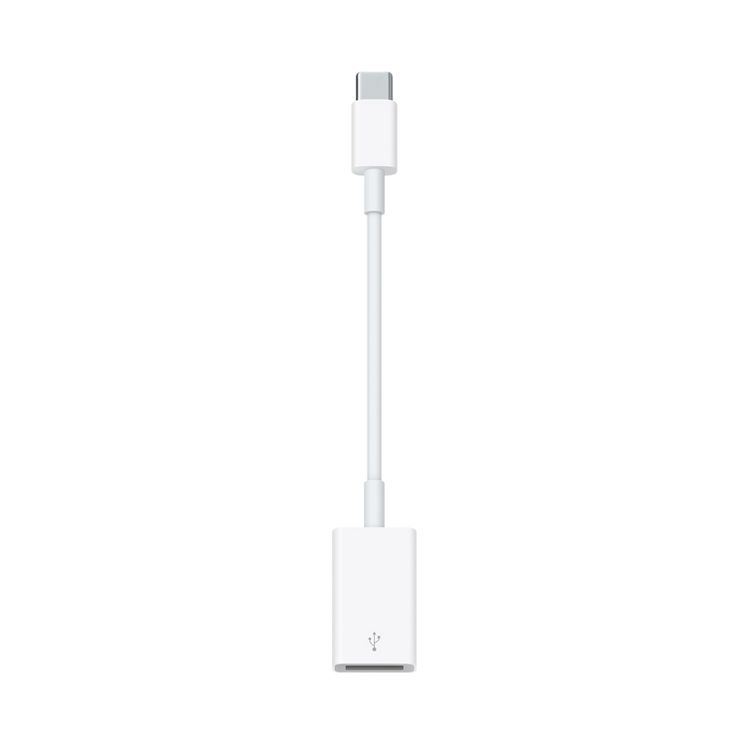 USB-C to USB Adapter - Main Image