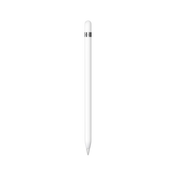 Apple Pencil (1st Generation) with USB-C to Apple Pencil Adapter