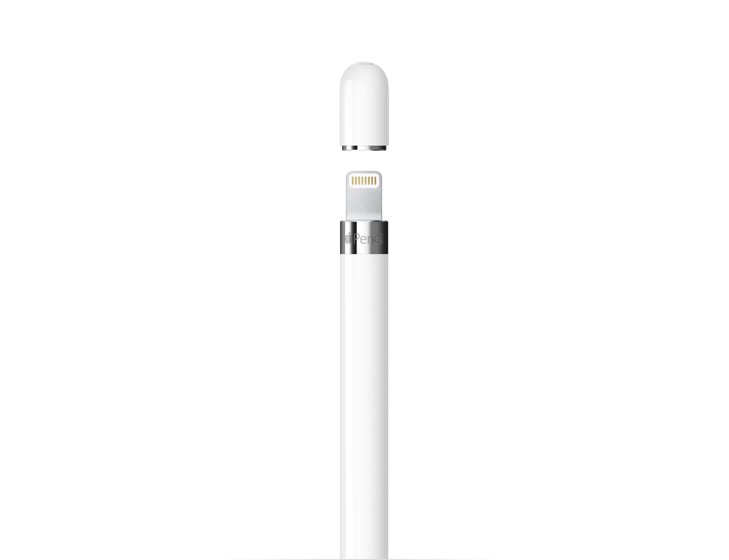 Apple Pencil (1st Generation) with USB-C to Apple Pencil Adapter