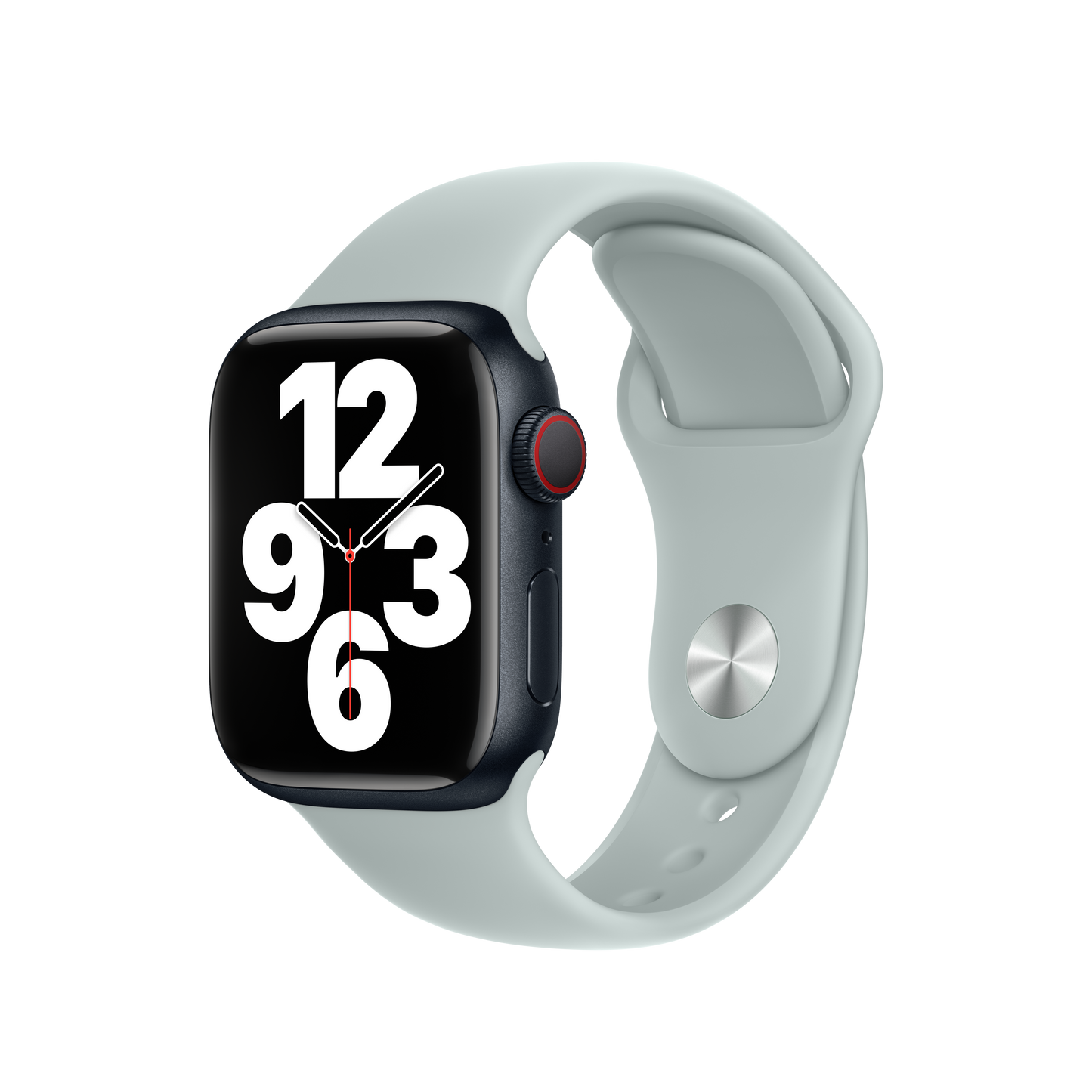 41mm Succulent Sport Band