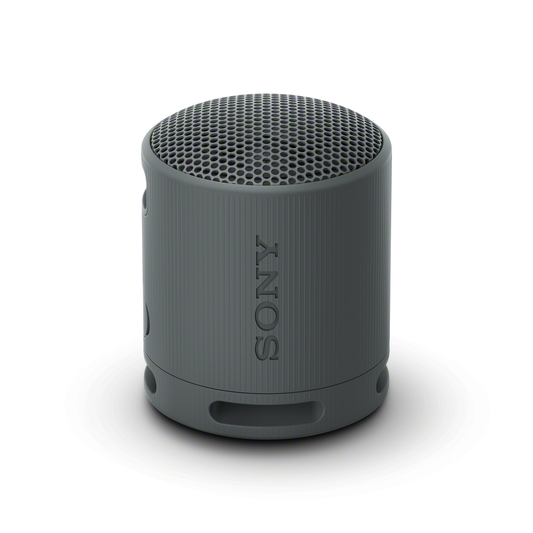 SONY XB100 Extra Bass Portable Bluetooth Speaker - Black
