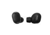 SONY WF-1000XM6 True Wireless Earphones - Black