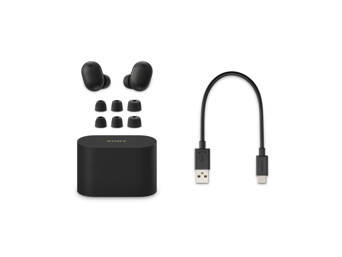 SONY WF-1000XM6 True Wireless Earphones - Black