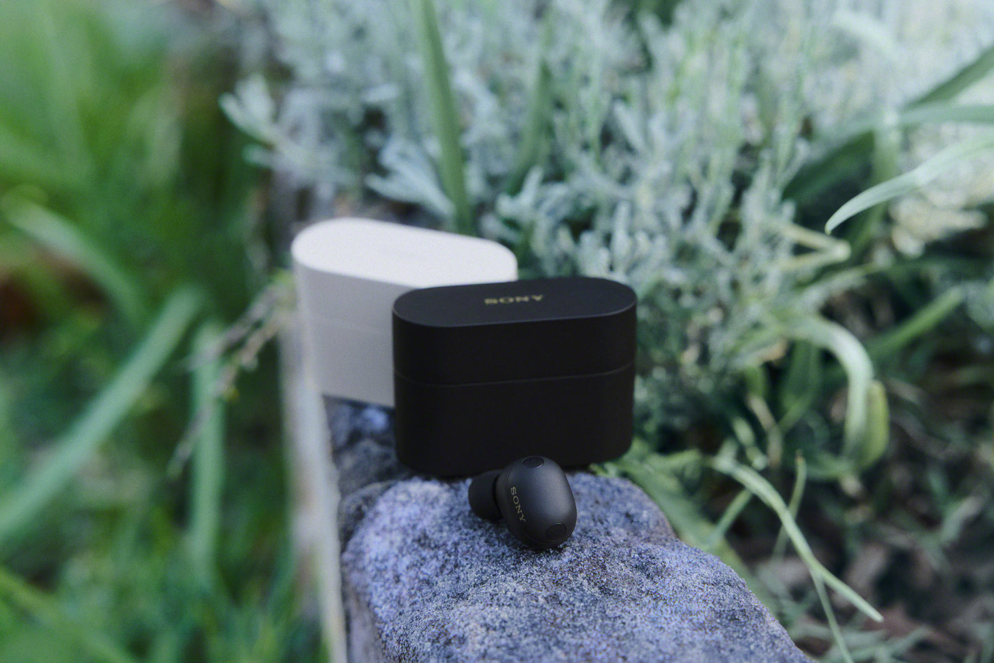 SONY WF-1000XM6 True Wireless Earphones - Black